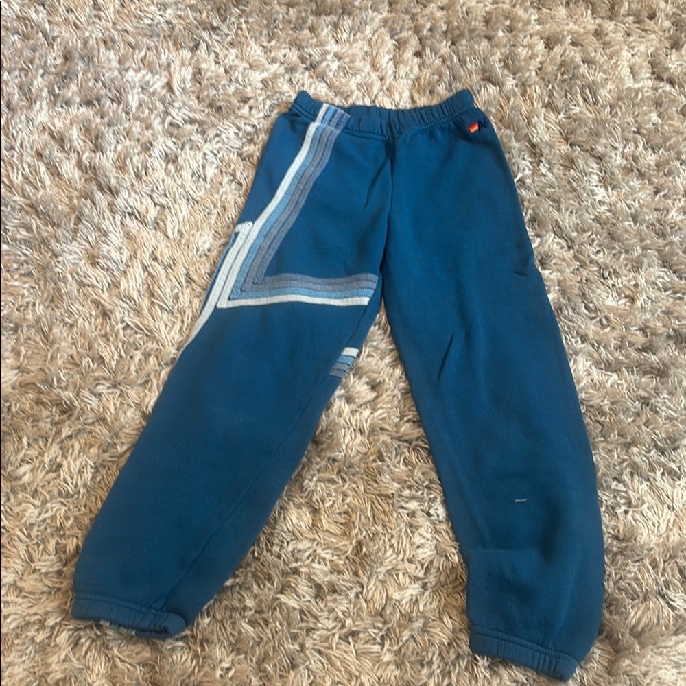 Aviator Nation Blue Jogger Sweatpants with Stripes